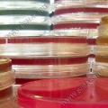 Tryptone Glucose Extraсt Agar