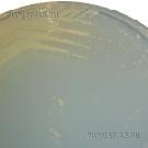 Burkholderia cepacia Isolation Medium